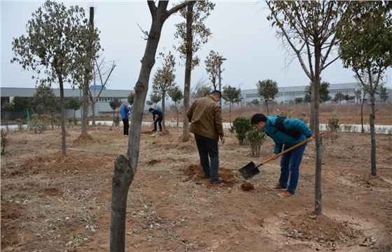 嵩陽煤機(jī)植樹活動